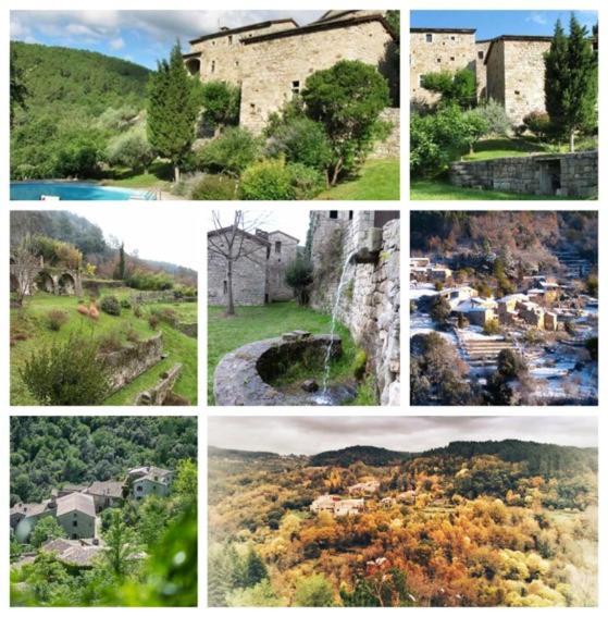 Oracines Du Calme Maison Hortense Sanilhac  المظهر الخارجي الصورة